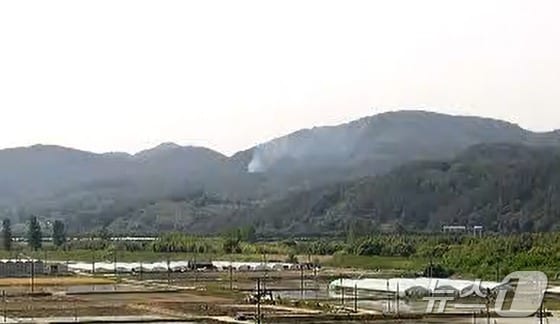 의령 산불 현장(산림청 제공). 2024.5.24