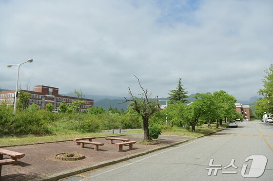 강원 속초시 노학동에 위치한 옛 동우대학(경동대 설악캠퍼스) 내부 모습.(독자제공) 2024.5.23/뉴스1