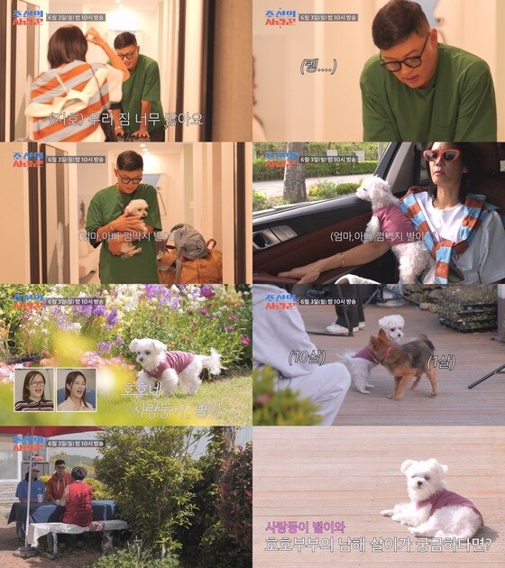 TV조선 '조선의 사랑꾼'