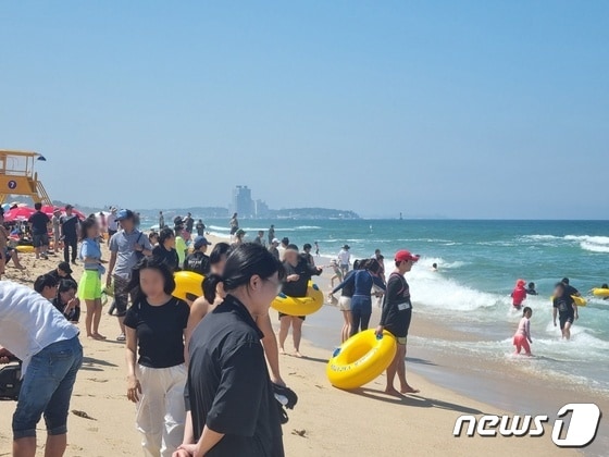 지난해 7월1일 개장한 강원 강릉 경포해수욕장을 방문한 피서객들이 물놀이를 즐기고 있다. 이날 개장한 경포해수욕장은 8월 20일까지 운영된다. 2023.7.1/뉴스1 © News1 윤왕근 기자