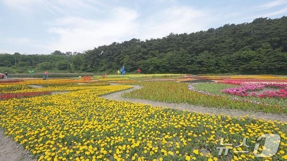 ‘2024 고창 꽃정원 치유문화축제’고창꽃정원(고창군 제공)2024.5.24/뉴스1