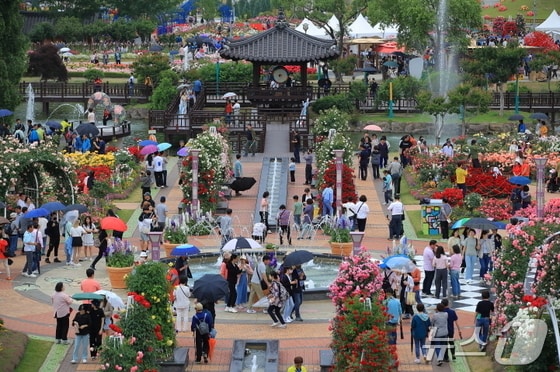 곡성세계장미축제'가 개막 6일 만에 방문객 15만 명을 돌파했다(곡성군 제공)2024.5.23/ 