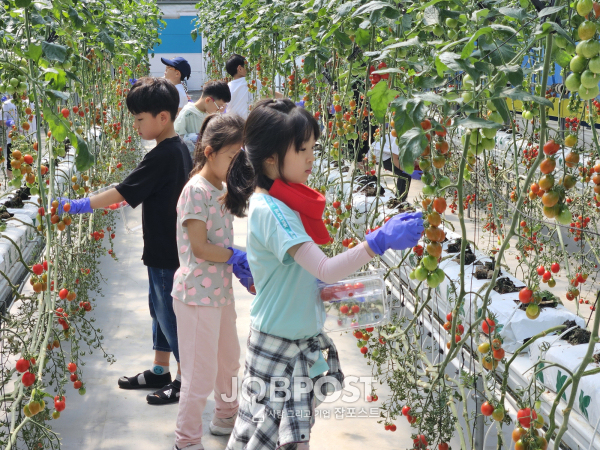 청양농업기술센터 방문한 청양초 아이들 모습