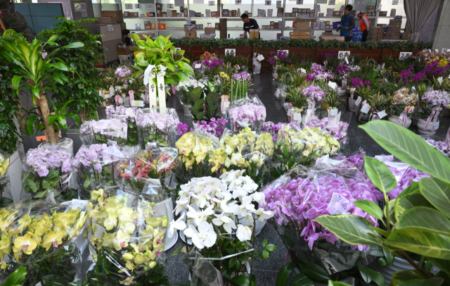 식물원 방불케 하는 국회 의원회관 로비