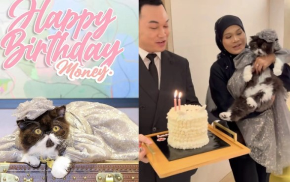 루이비통 매장서 고양이 생일파티를?…작년엔 BMW 선물 받았다