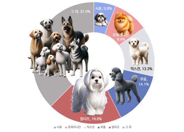 멍멍이도 강남 살고 싶어요…반려견·병원·미용실 모두 강남 최다