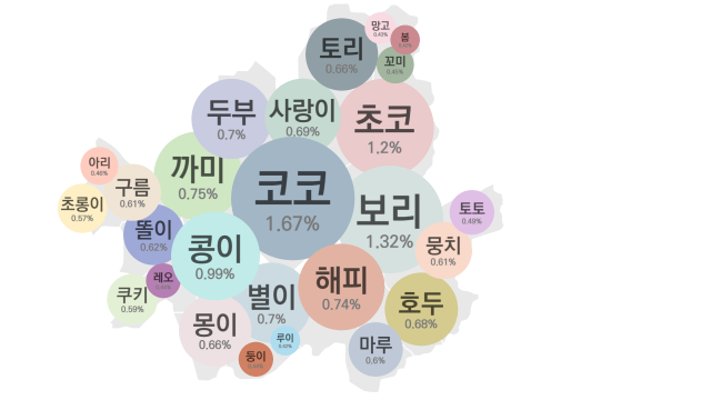 멍멍이도 강남 살고 싶어요…반려견·병원·미용실 모두 강남 최다