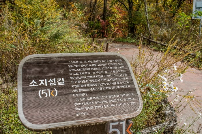 강원도 양구에 조성된 소지섭길. /한국관광공사 제공