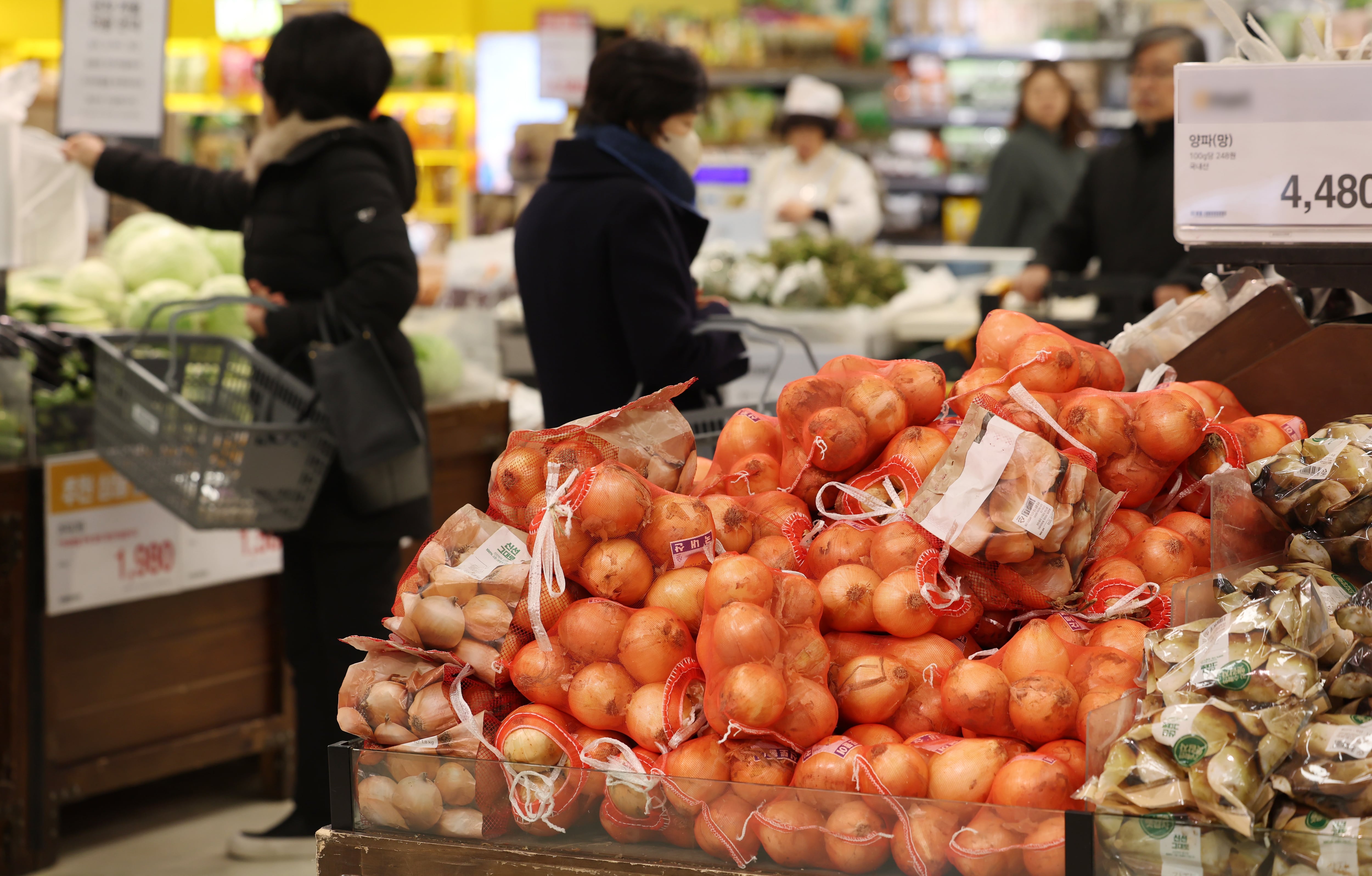 서울 시내의 한 대형마트에서 시민이 채소를 고르고 있다. /뉴스1