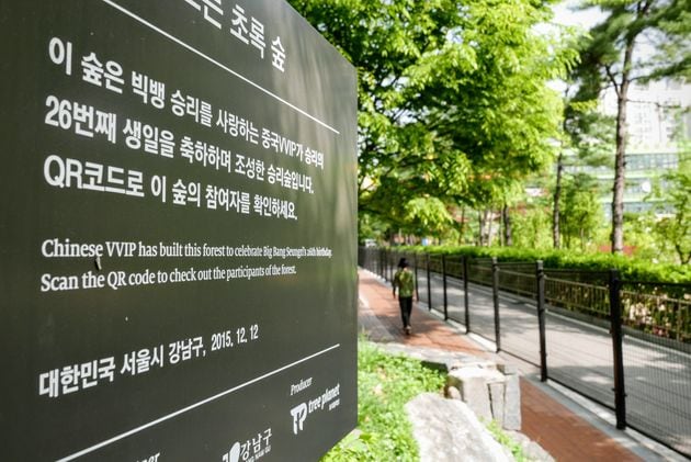 서울시 강남구 역삼동에 조성된 '승리숲' 팻말. 지난 2015년 승리의 26번째 생일 축하를 위해 중국 팬들이 돈을 모아 조성했다. /뉴스1
