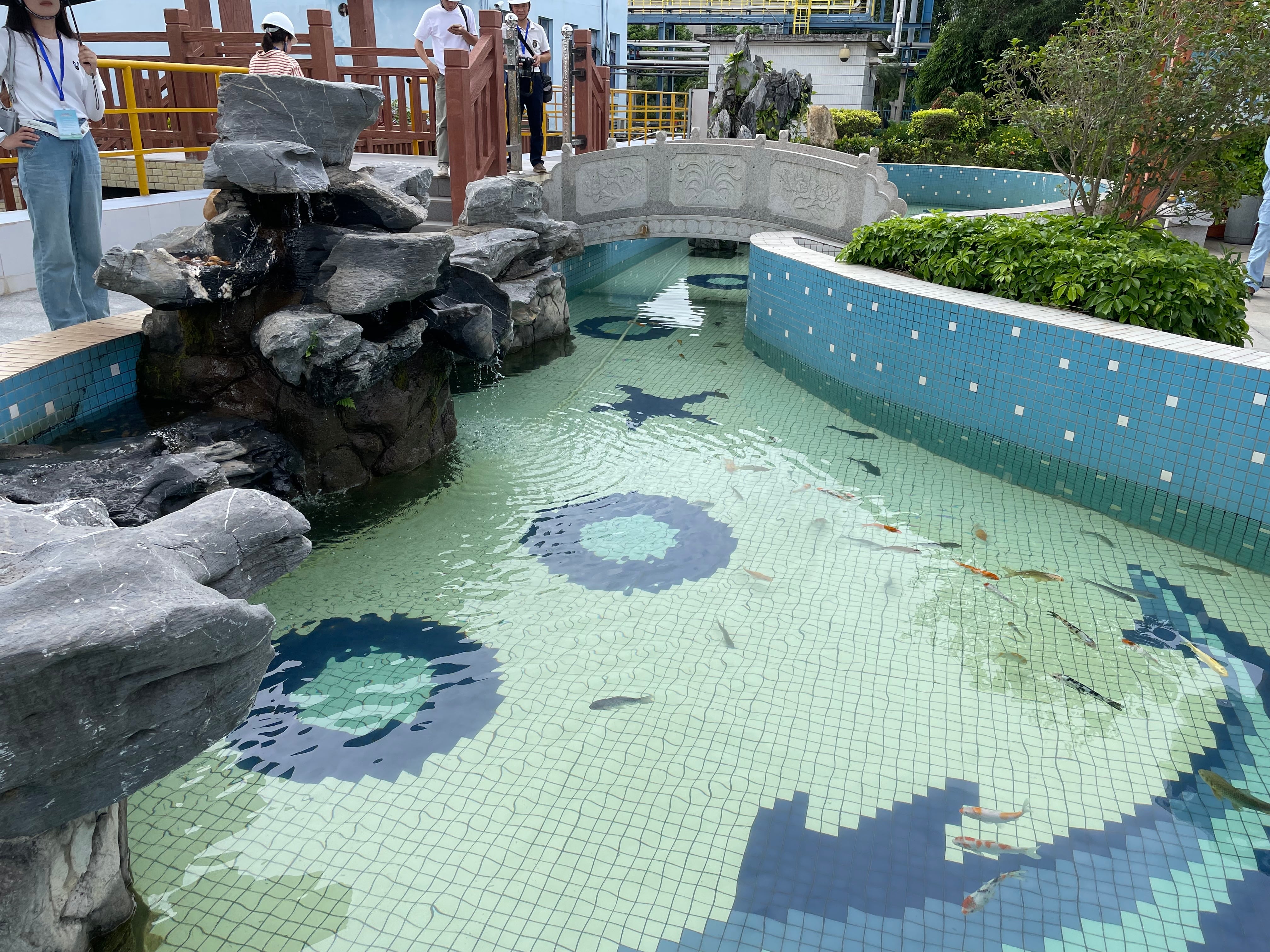 지난 23일 중국 광둥성 마오밍시 석유화학 공장인 시노펙 마오밍 지부. 폐수를 정화한 물로 금붕어를 키우고 있다./이윤정 기자