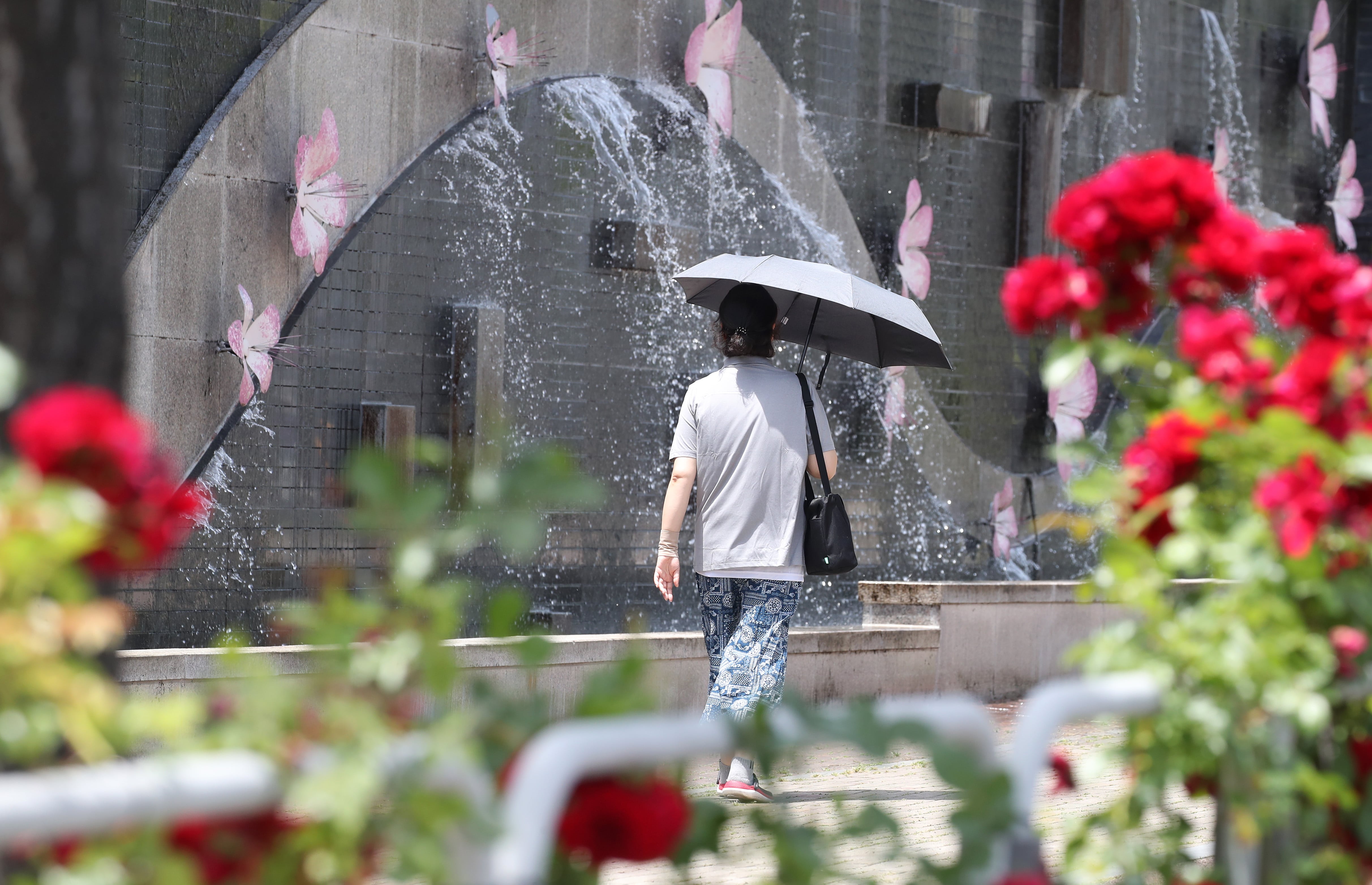 낮 기온이 30도 이상인 초여름 날씨에 한 시민이 양산을 쓰고 지나가고 있다. /뉴스1