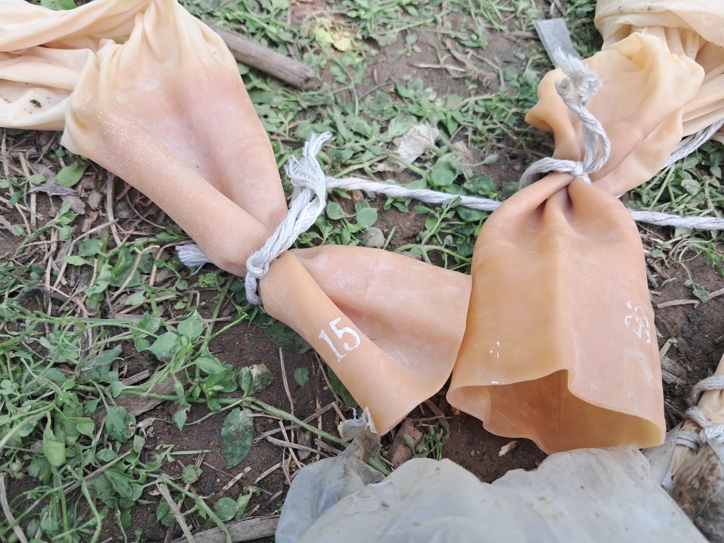 북한이 날려 보낸 것으로 추정되는 풍선과 오물 잔해가 흩어져 있다. /연합뉴스