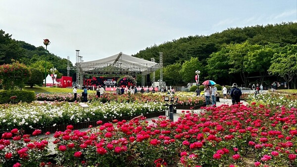 제16회 울산대공원 장미축제를 찾은 관람객들이 장미원을 둘러보고 있다. / SK이노베이션