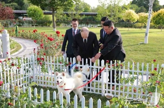 (평양 노동신문=뉴스1) = 북한 노동당 기관지 노동신문은 20일 김정은 노동당 총비서가 블라디미르 푸틴 러시아 대통령과 금수산영빈관 정원구역에서 시간을 함께 보내면서 친교를 두터이 했다고 전했다. 김 총비서는 푸틴 대통령에게 풍산개 한쌍을 선물했고, 이에 푸틴 대통령은 사의를 표했다고 한다.[국내에서만 사용가능. 재배포 금지. DB 금지. For Use Only in the Republic of Korea. Redistribution Prohibited] rodongphoto@news1.kr