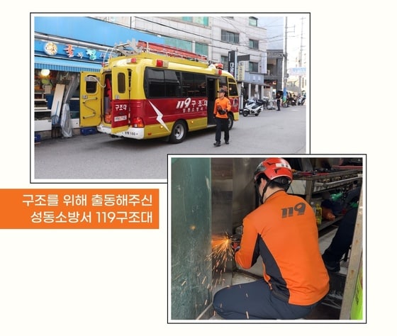 성동소방서 119구조대에서 출동해 새끼 고양이들의 구조작업을 진행했다. (동물자유연대 제공) © 뉴스1