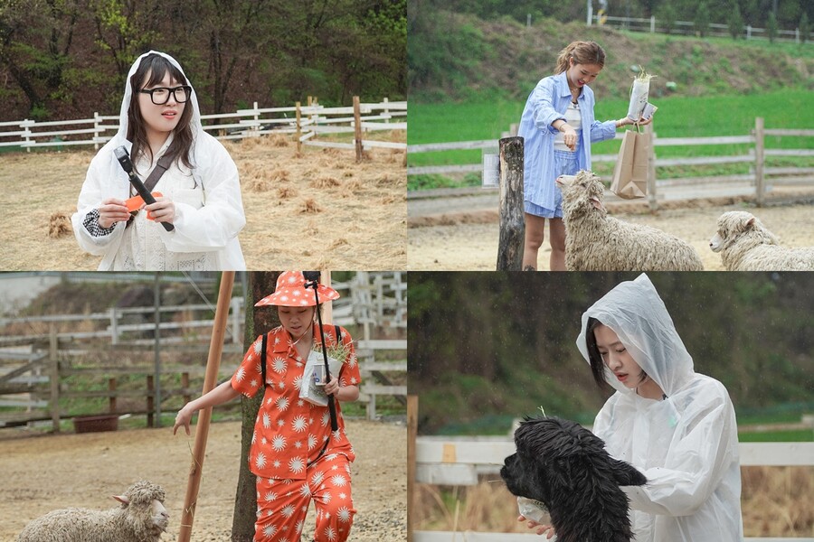 ▲ '지락이의 뛰뛰빵빵'. 제공| tvN