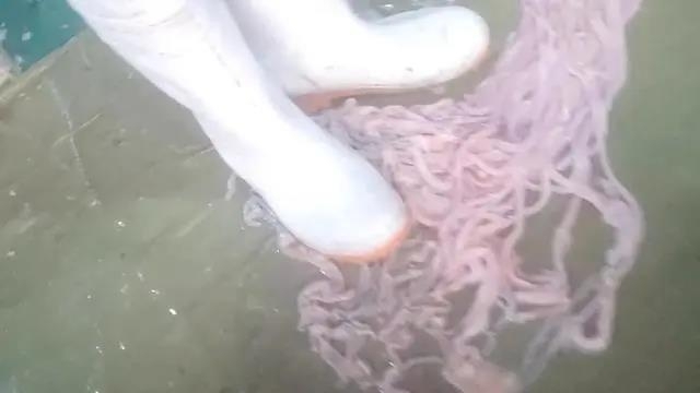 거위 내장을 밟고 있는 중국 공장 노동자들. 사진=중국 신경보 캡처