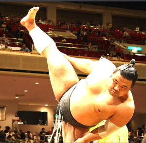 상징과 일본문화[서우석의 문화 프리즘]