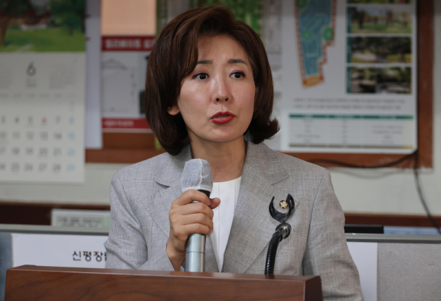 '韓핵무장' 與전대 화두로…나경원 “대표되면 당론 추진”