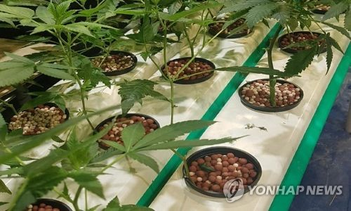 ‘젤리’인줄 알고 먹었다가 고통 엄습…게다가 경찰서까지 갔다 왜