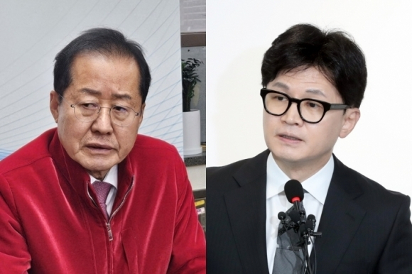홍준표, 한동훈을 왜 '개 닭 보듯'하나…'원죄·풋내기·과거행적 맞물려'