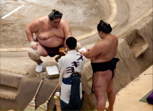 상징과 일본문화[서우석의 문화 프리즘]