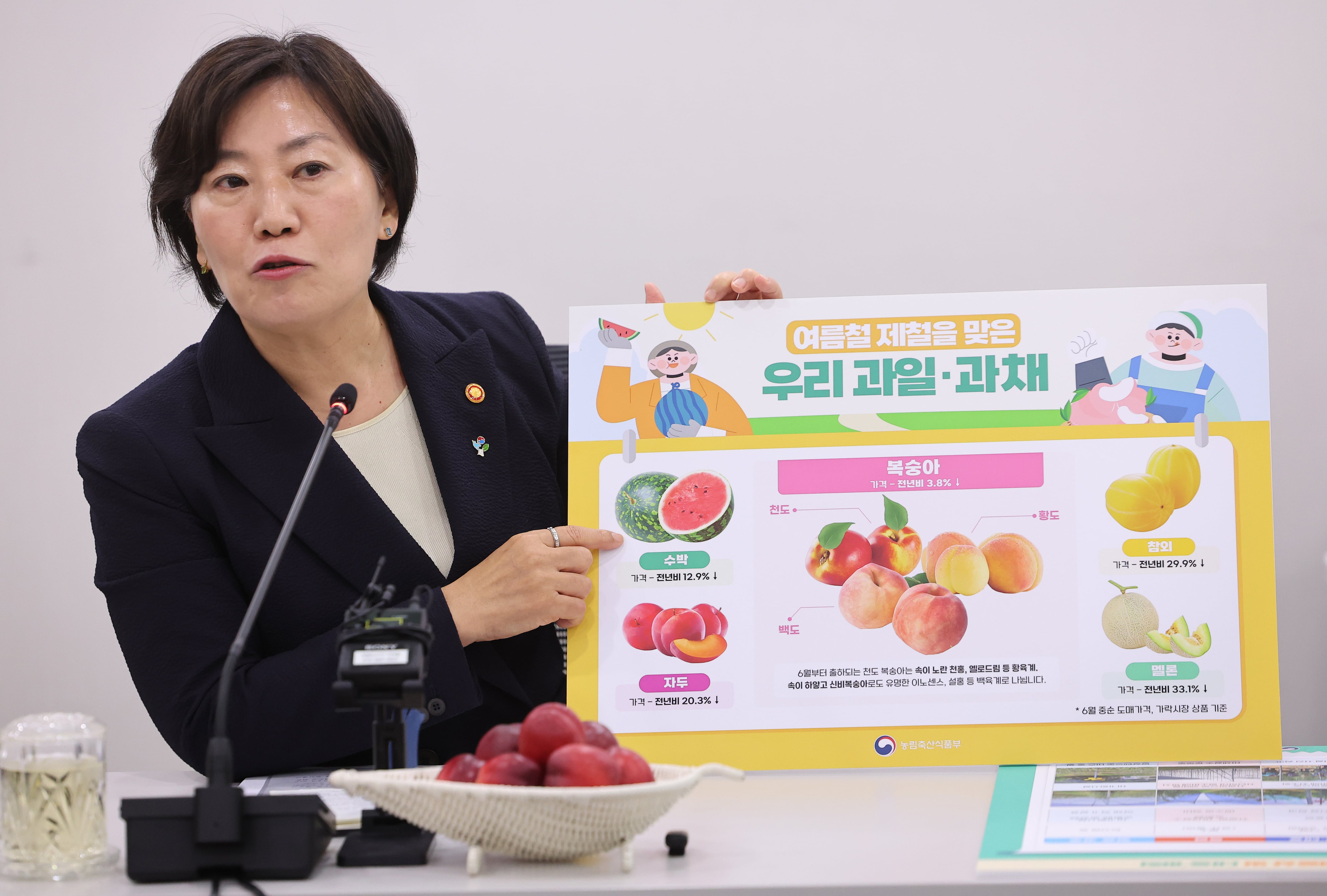 송미령 농림축산식품부 장관이 지난 19일 오전 정부세종청사에서 출입 기자들과 간담회를 하고 있다. /연합뉴스