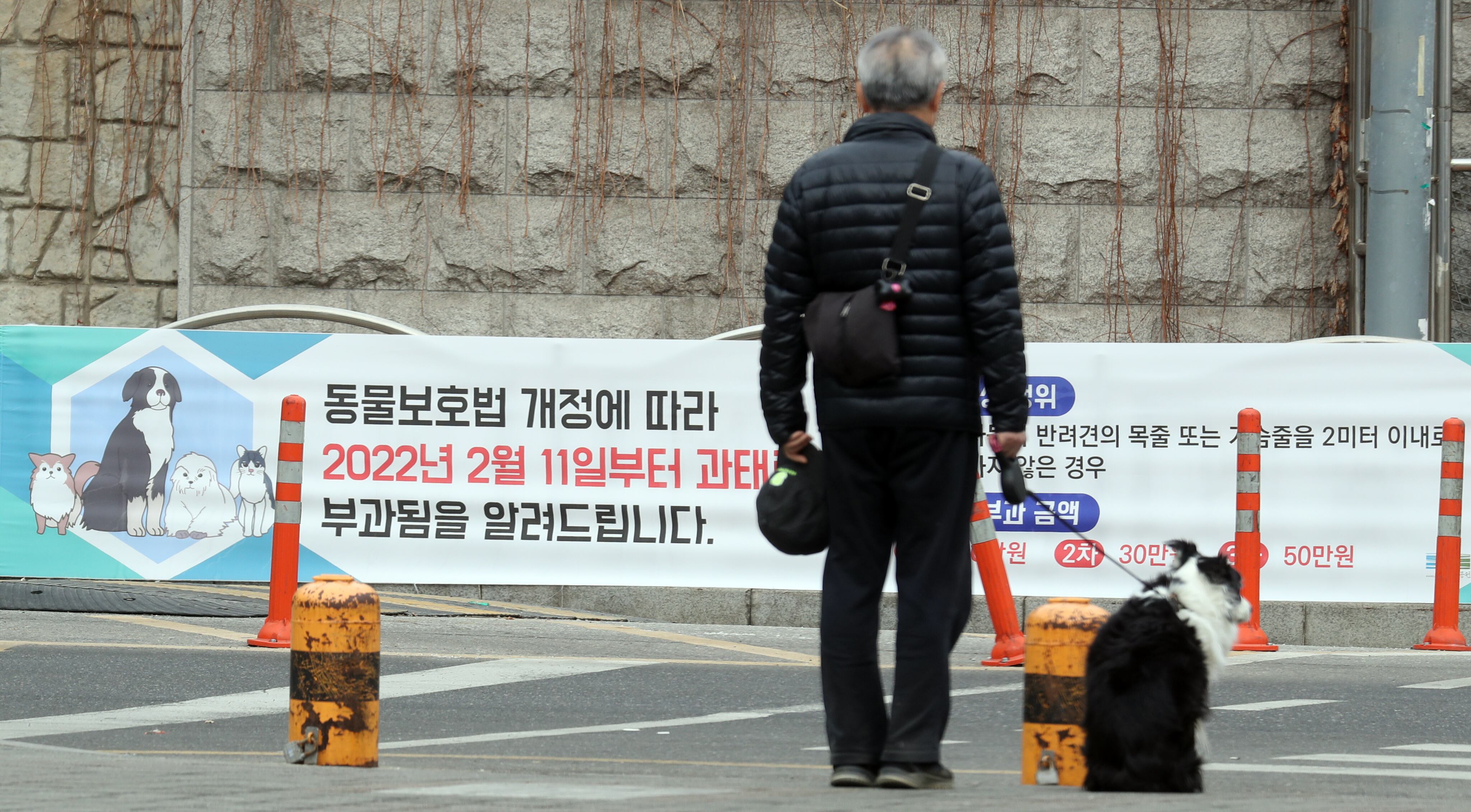 2022년 2월 13일 서울 뚝섬 공원에서 한 시민이 반려견과 산책을 하고 있다. /뉴스1