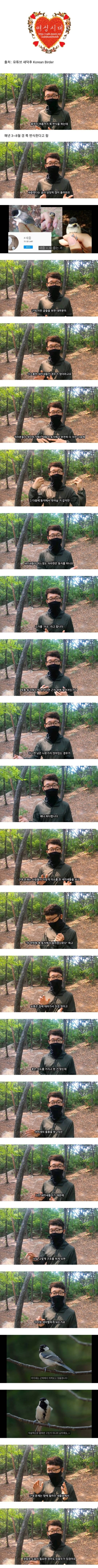 땅에 떨어진 아기 새 함부로 구조하면 안 되는 이유 (새 사진 주의) | 인스티즈