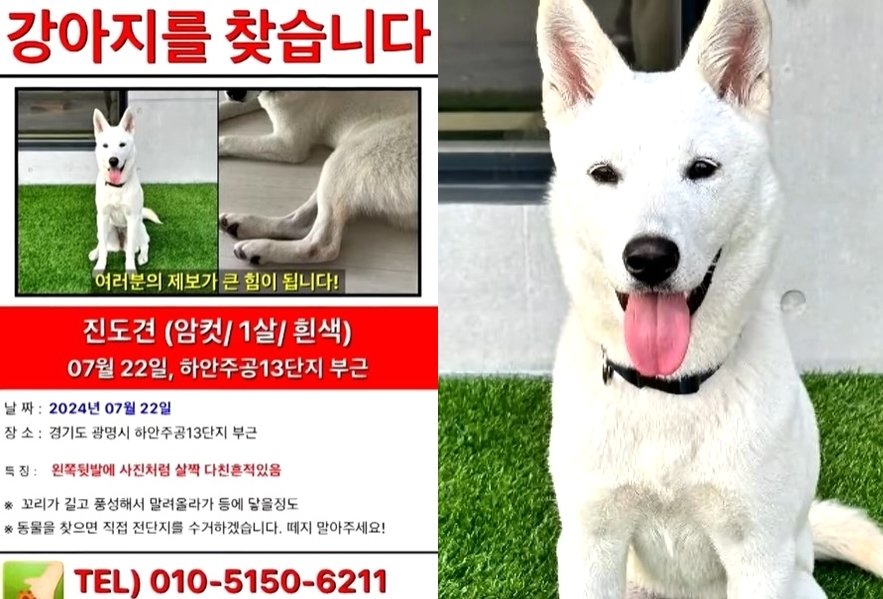 (JTBC '사건반장')