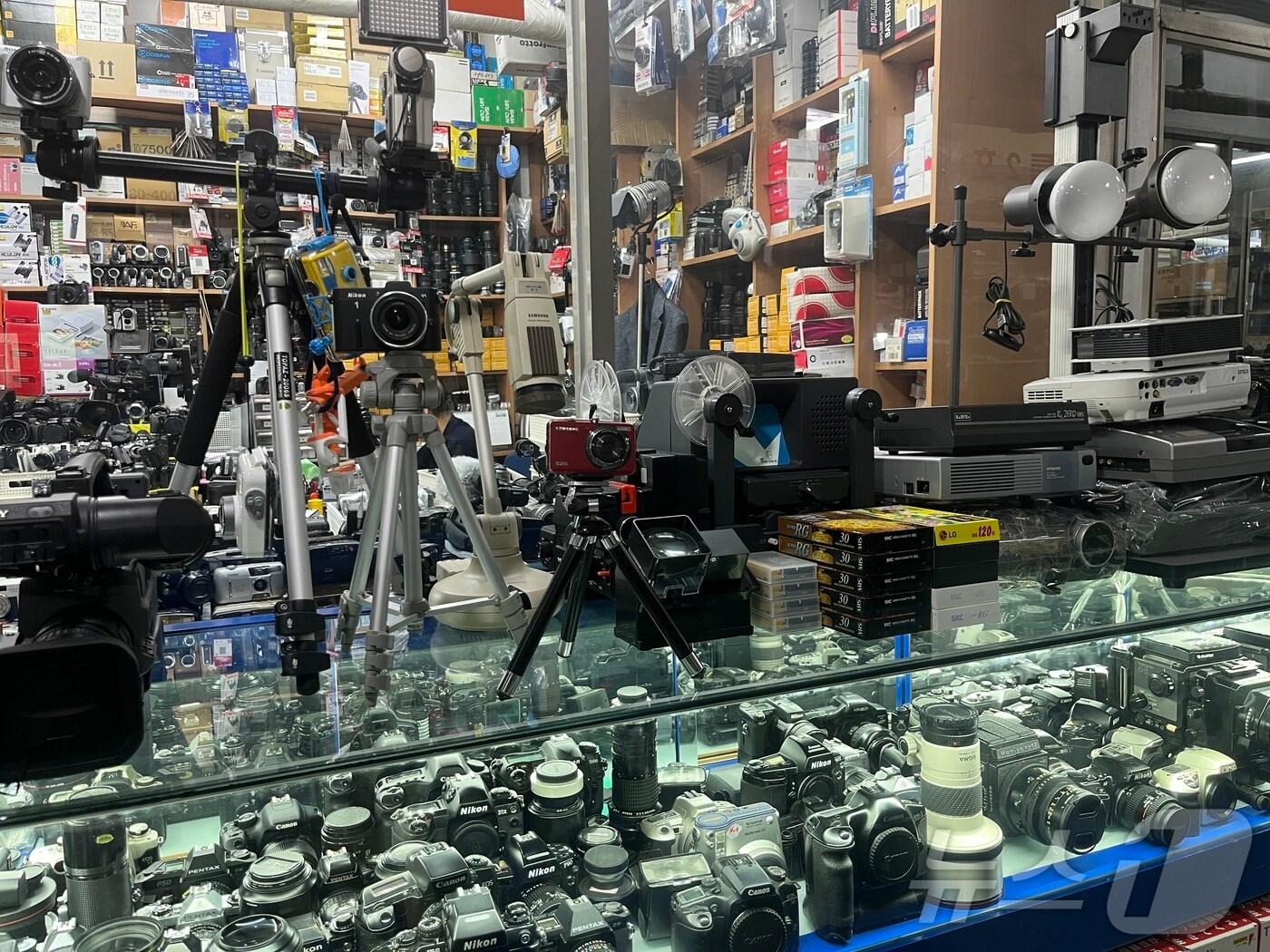 서울 종로3가 세운상가의 한 중고 카메라 가게 진열장에 1990년대, 2000년대 디지털 카메라들이 들어차 있다. ⓒ 뉴스1 유수연 기자