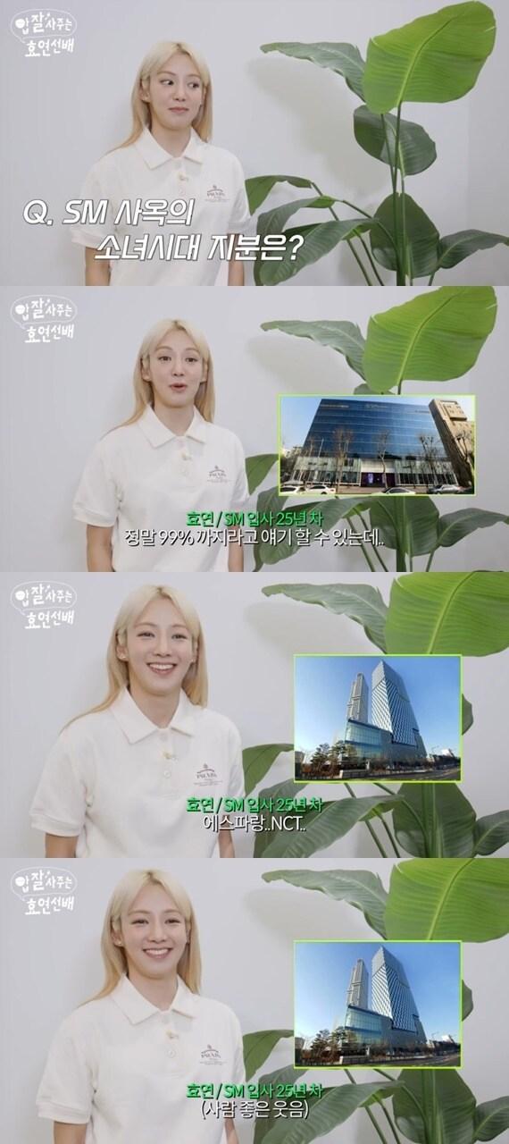 유튜브 채널 '효연의 레벨업' 캡처