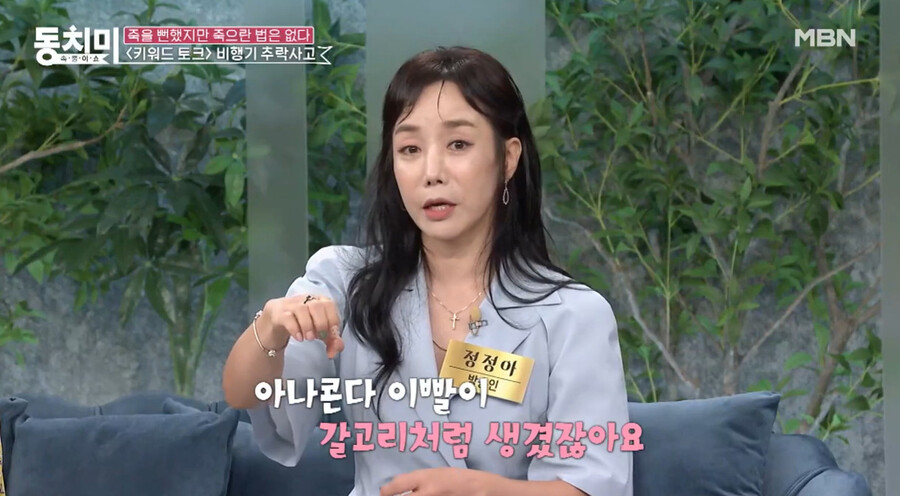 ▲ 정정아. 출처ㅣMBN