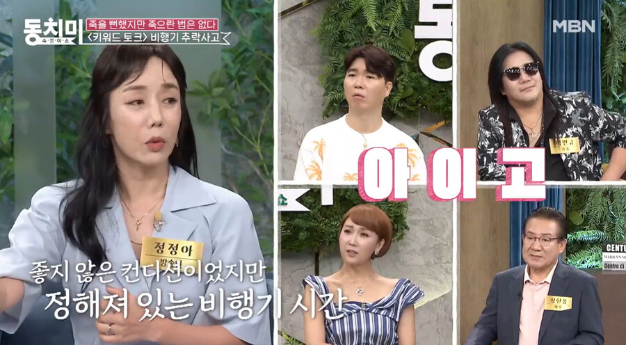 ▲ 정정아. 출처ㅣMBN