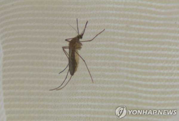 사진=연합뉴스