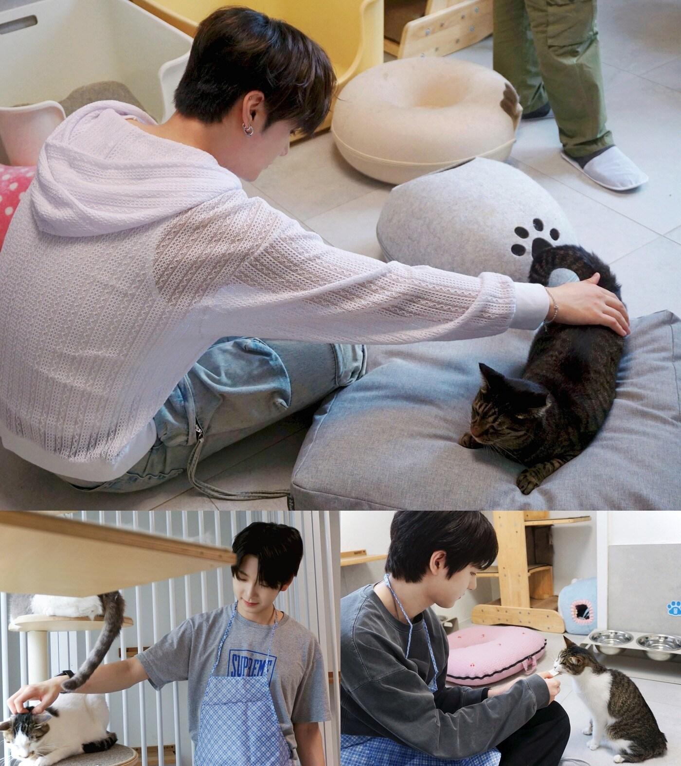 FNC엔터테인먼트 제공