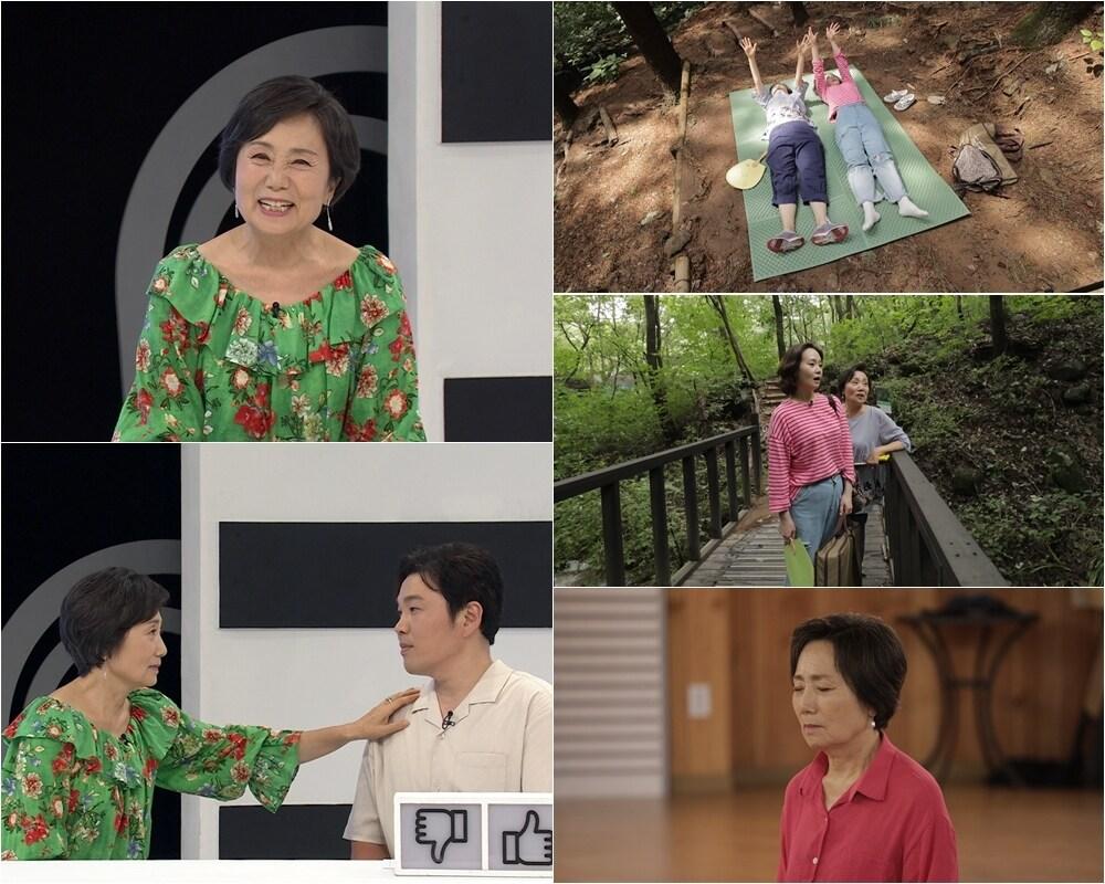 사진=TV조선 '퍼펙트라이프'