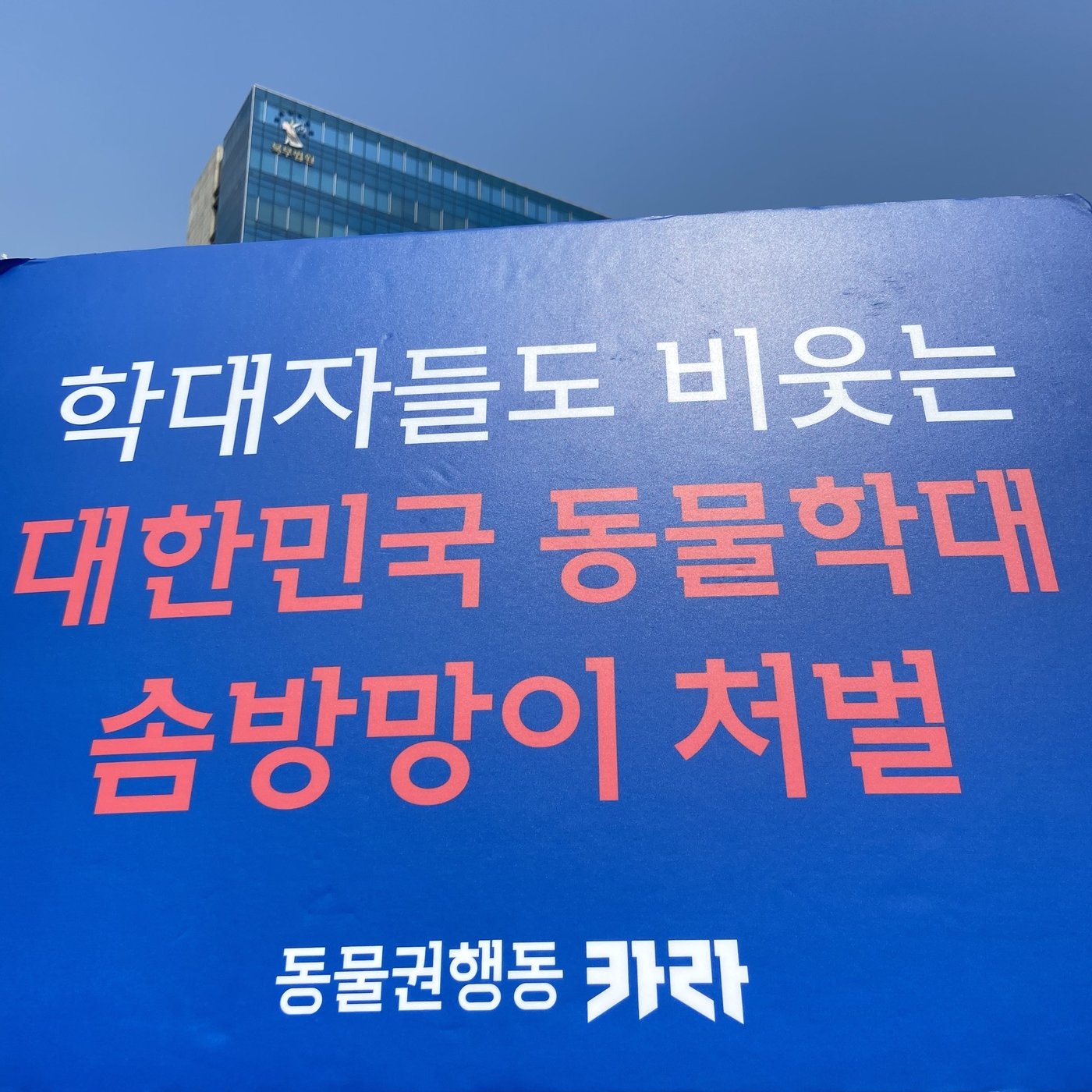 27일 동물권행동 카라는 "반려동물을 고층에서 던지는 잔인한 범죄에 집행유예 선고는 솜방망이 처벌"이라고 비판했다. (카라 제공) ⓒ 뉴스1