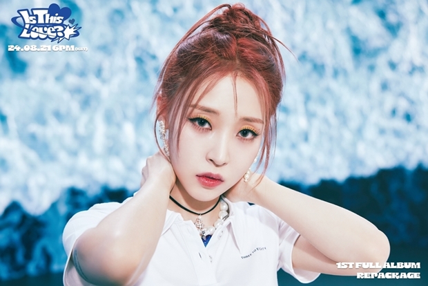 티브이데일리 포토