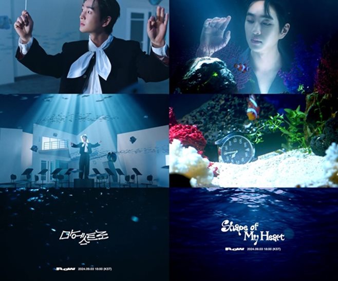 티브이데일리 포토
