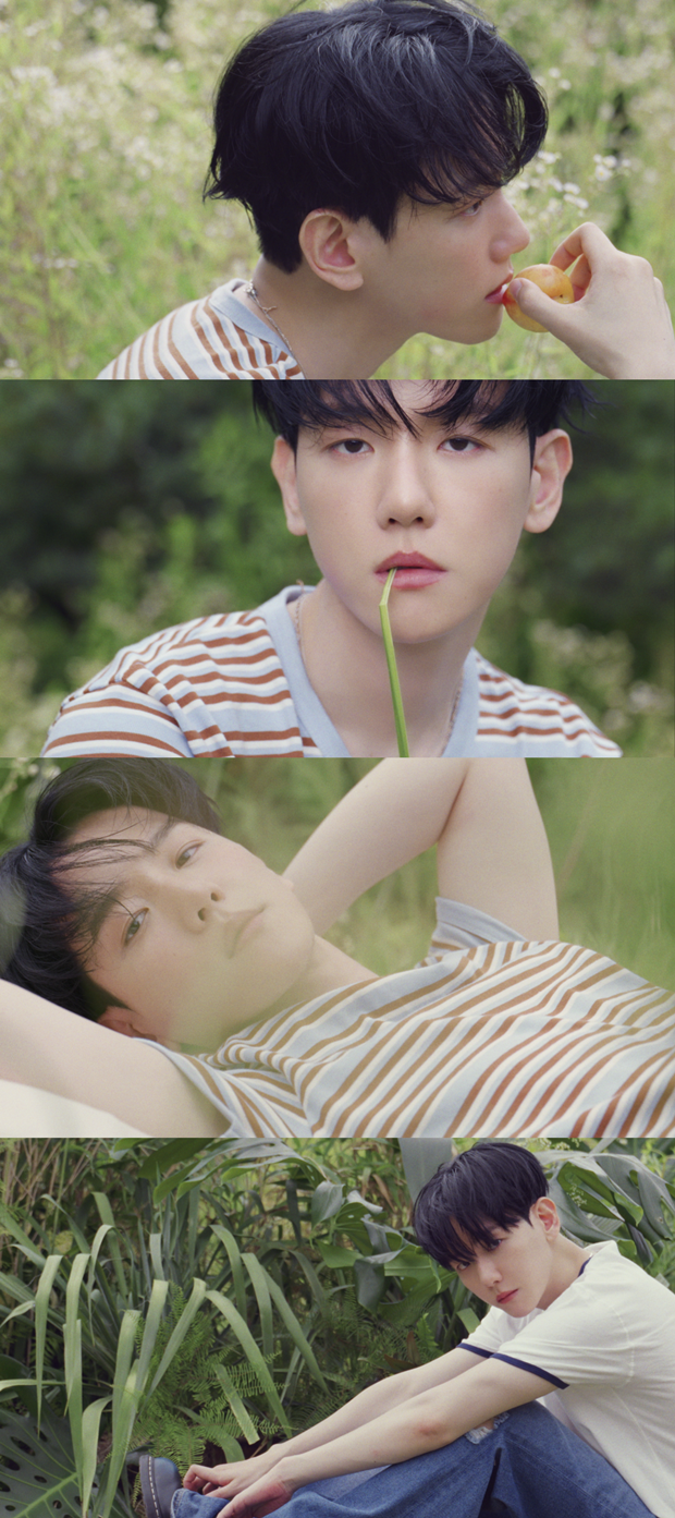 엑소 백현