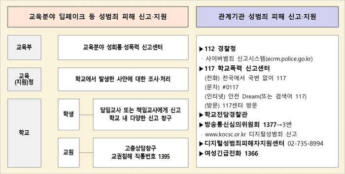 디지털 성사안 신고 상담 지원체계.[교육부 제공]