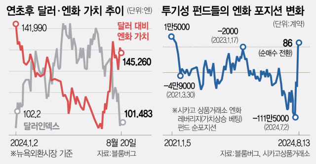 美달러 가치 하락에 '弗빌려 신흥국 돈 산다'…늘어나는 ‘뉴 캐리 트레이드’