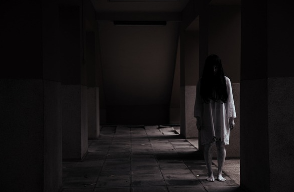 '귀신의 집' 들어갔다 '깜짝이야'…귀신 턱 박살 낸 유단자, 합의금 무려