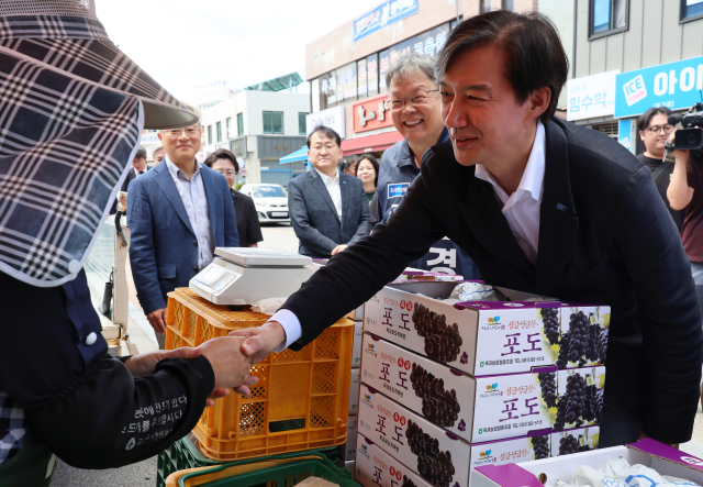 조국, 31일 검찰 출석…경찰 '우발사태 대비' 인력 배치