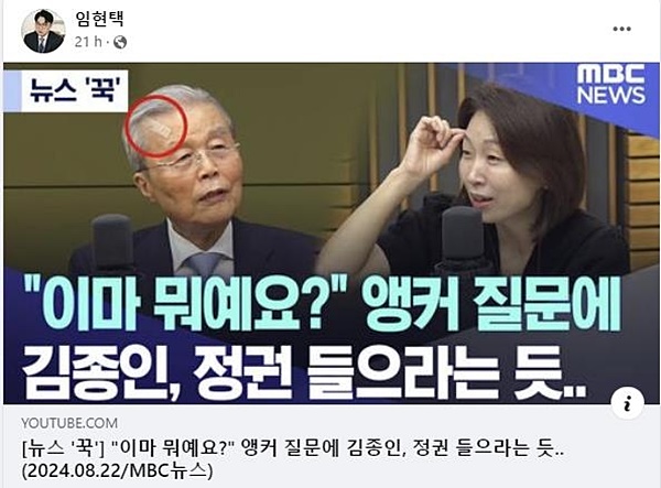 사진=임현택 의협회장 페이스북 캡처