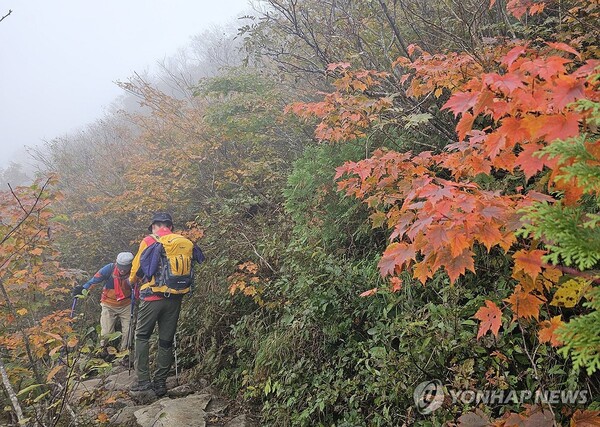 사진=연합뉴스