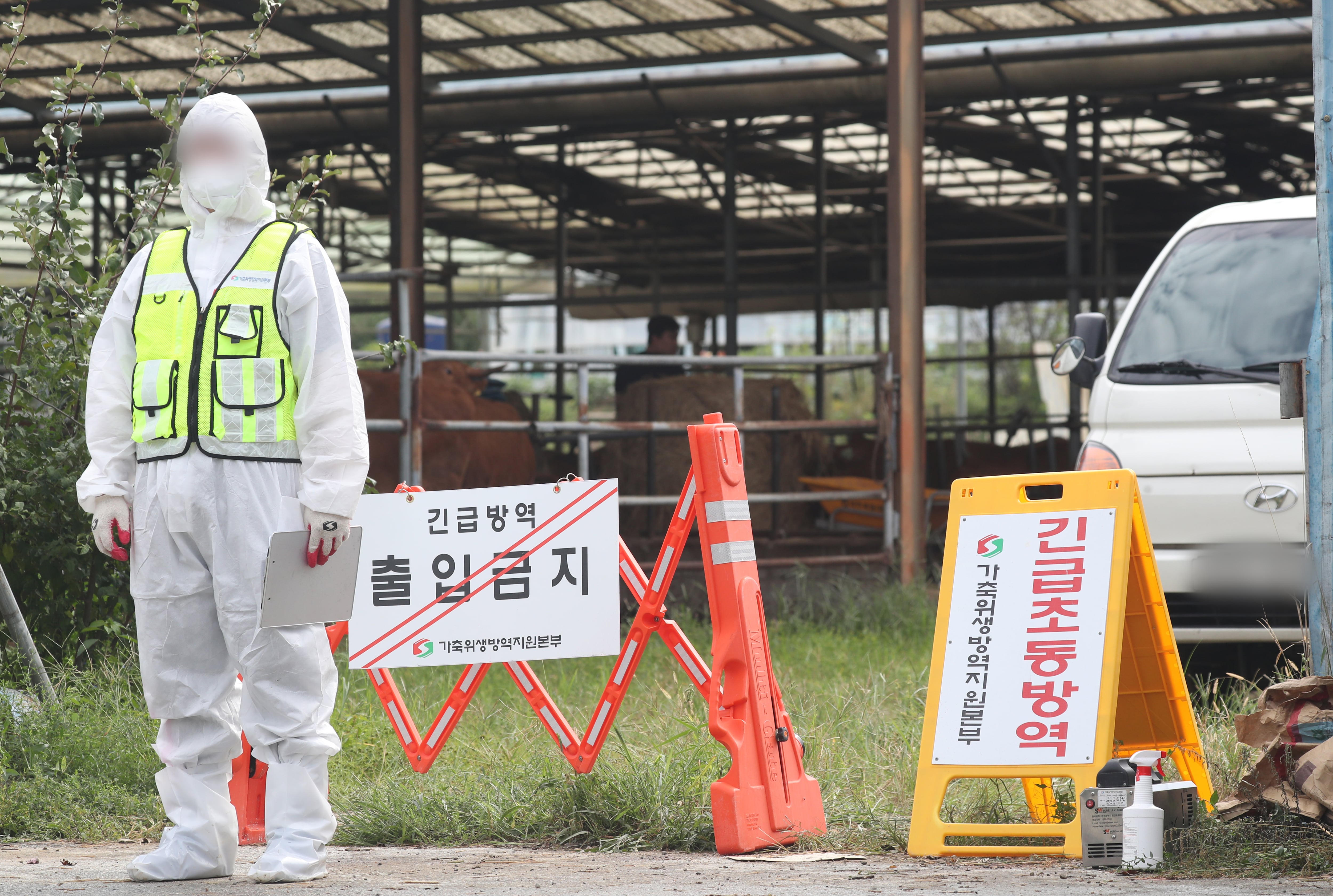 지난 19일 경기 여주시 한 한우농장에서 럼피스킨이 발생돼 방역 관계자가 농장 일대를 통제하고 있다. /뉴스1 