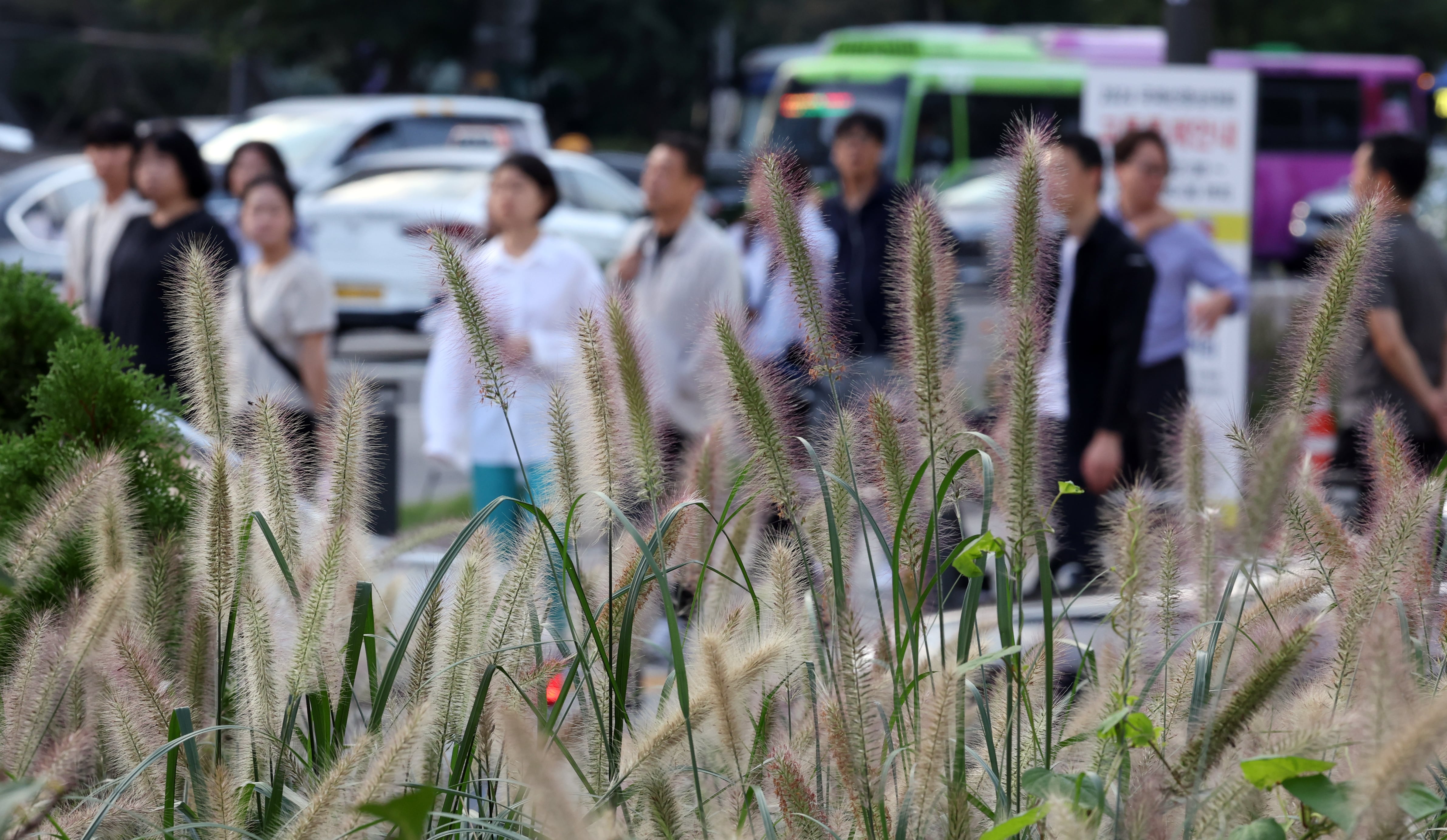 날씨 자료사진./뉴스1 